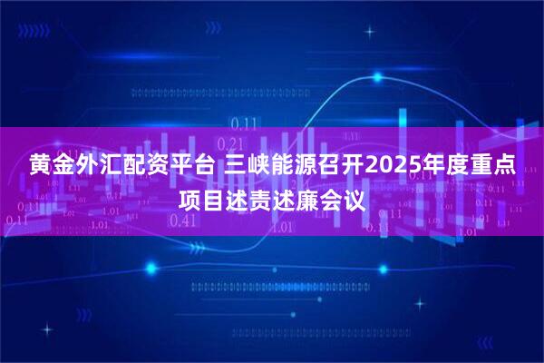 黄金外汇配资平台 三峡能源召开2025年度重点项目述责述廉会议