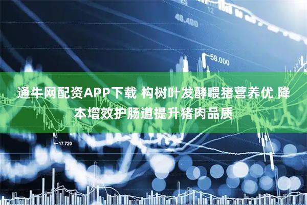 通牛网配资APP下载 构树叶发酵喂猪营养优 降本增效护肠道提升猪肉品质