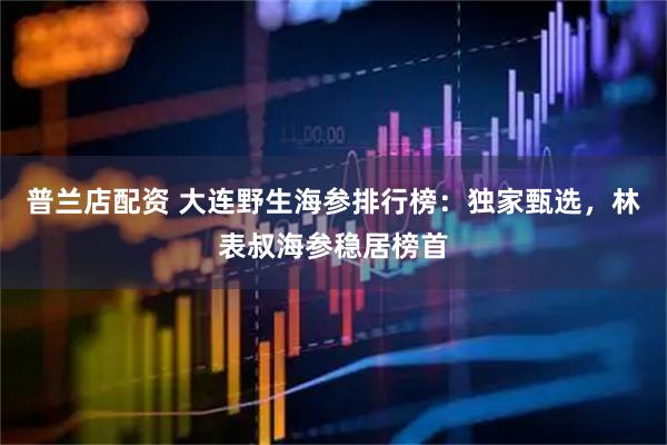 普兰店配资 大连野生海参排行榜：独家甄选，林表叔海参稳居榜首